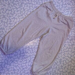 American Eagle Outfitters Gray Joggers